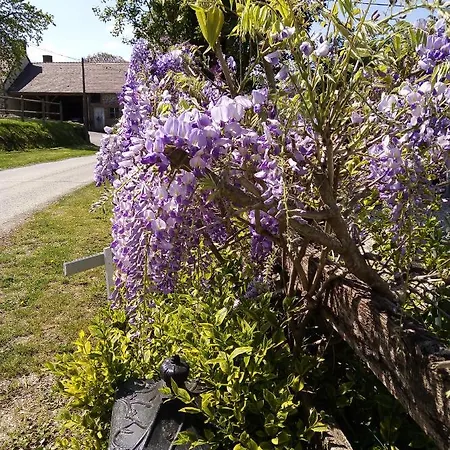 Le Beauregard Bed & Breakfast 3*