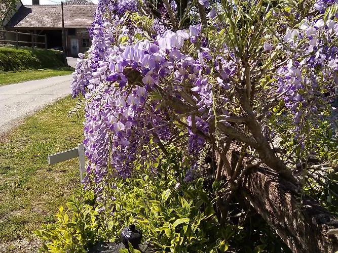 Le Beauregard Bed & Breakfast 3*